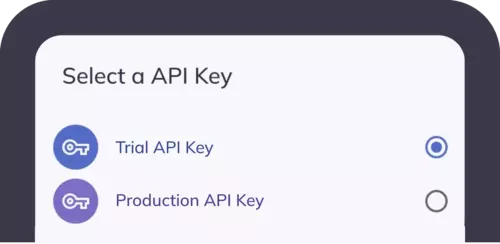 set-up-1-new-opt.webp