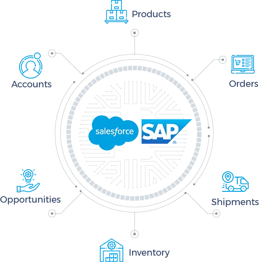 SAP circle new with products.png