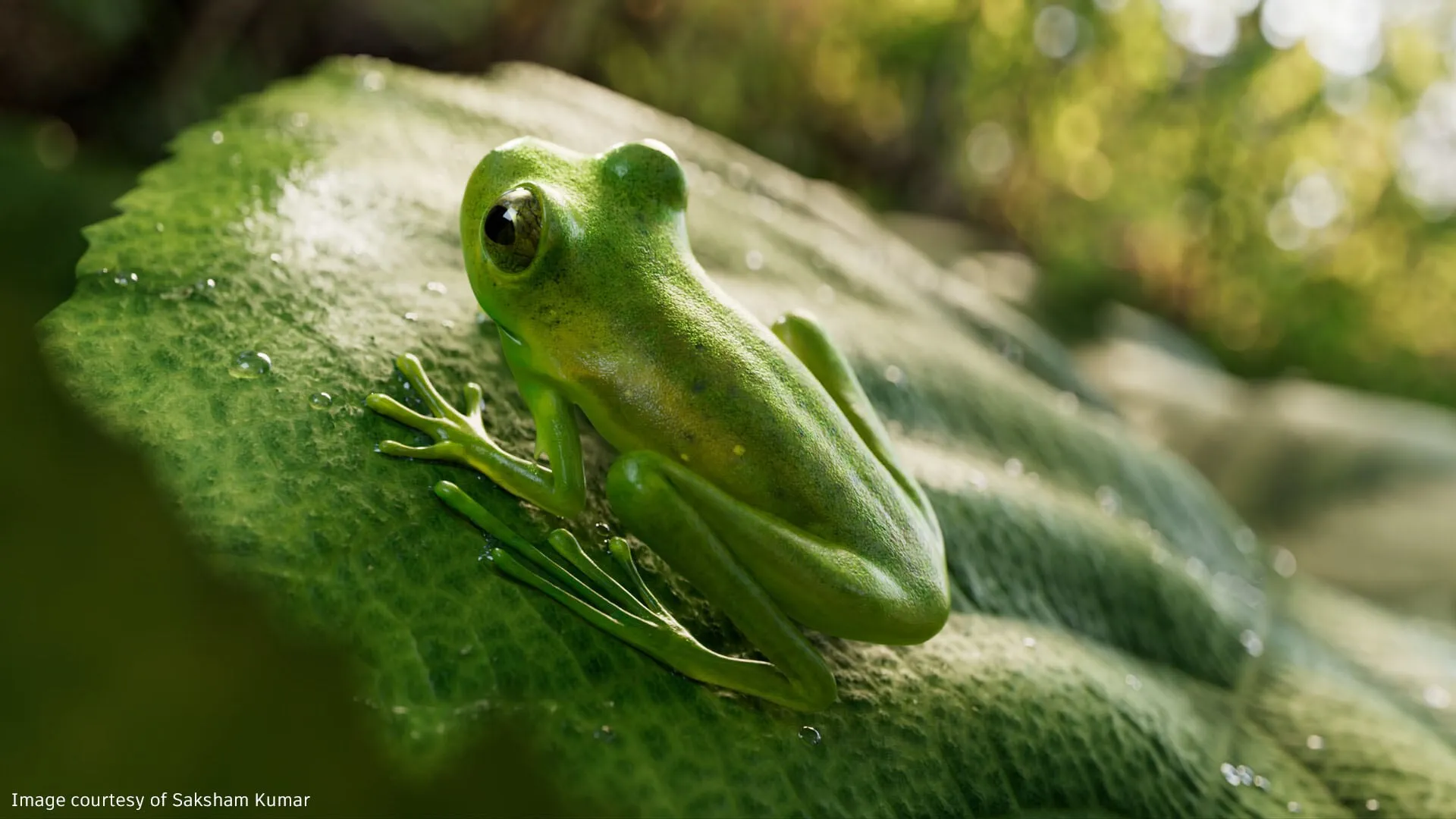 what-is-mudbox-large-1920x1080.jpg