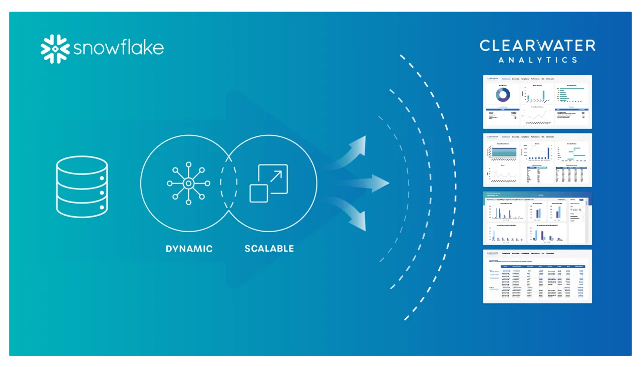 large-Clearwater-Snowflake-Diagram.png