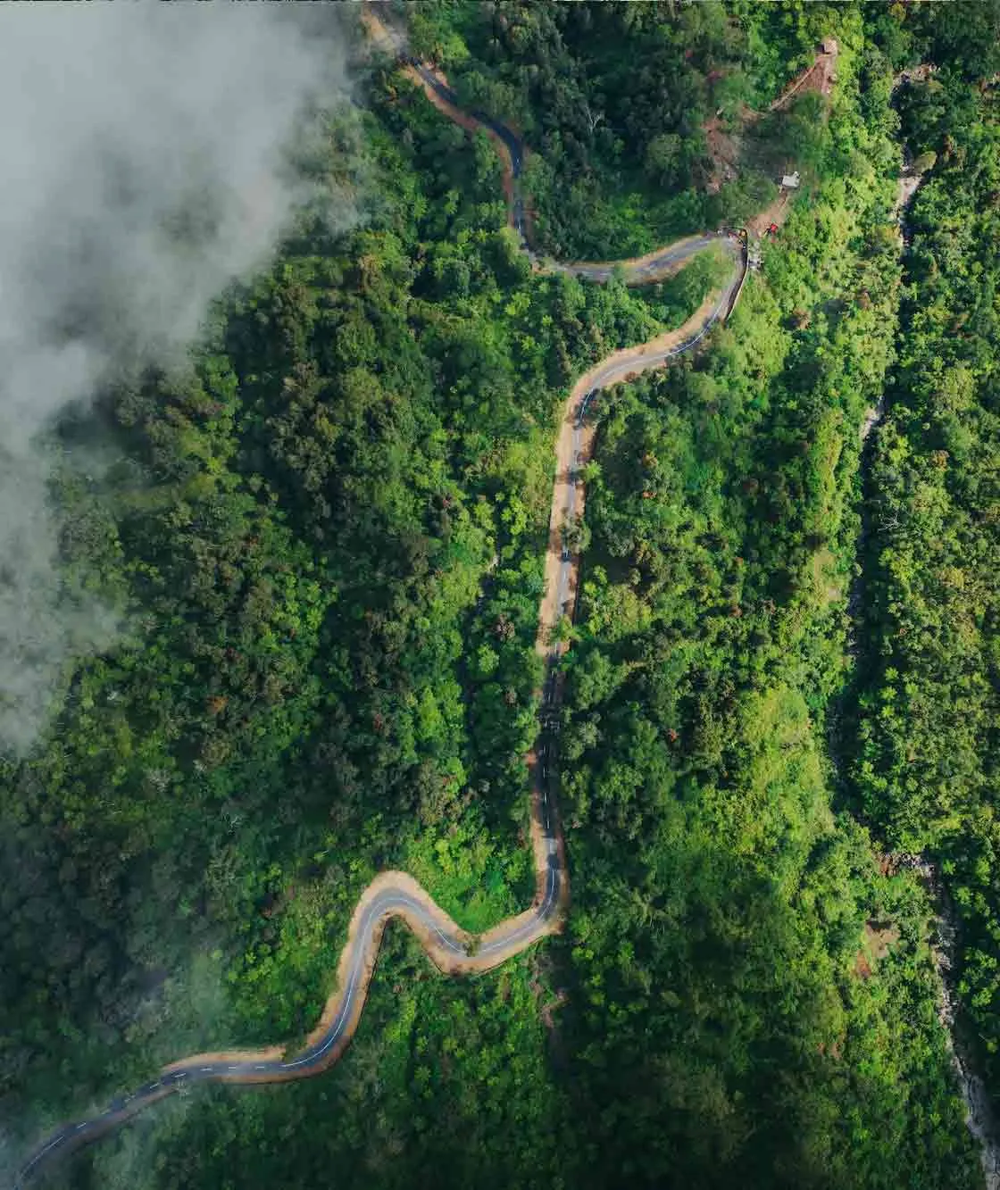 aerial-view-forest-road-eudr.jpg.pagespeed.ce.FCZ-uSW86A.png