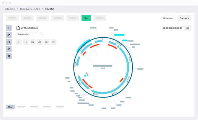 molecular_biology_cloning.webp