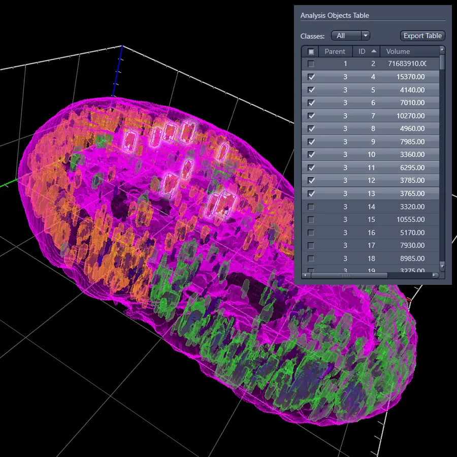 3d-image-analysis.png
