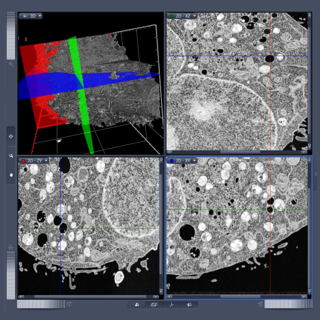 tomo3d-viewer-navigation.png