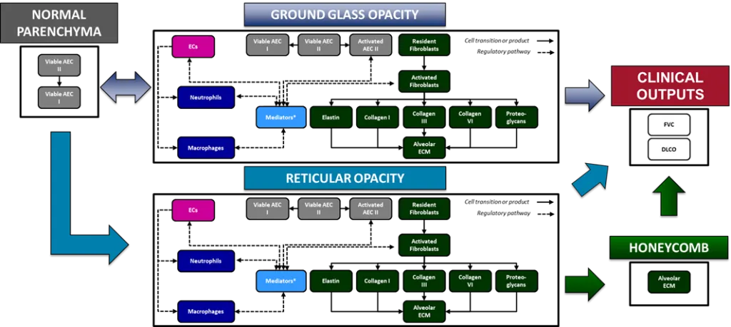 ILDsym_graphic2-1024x459.png
