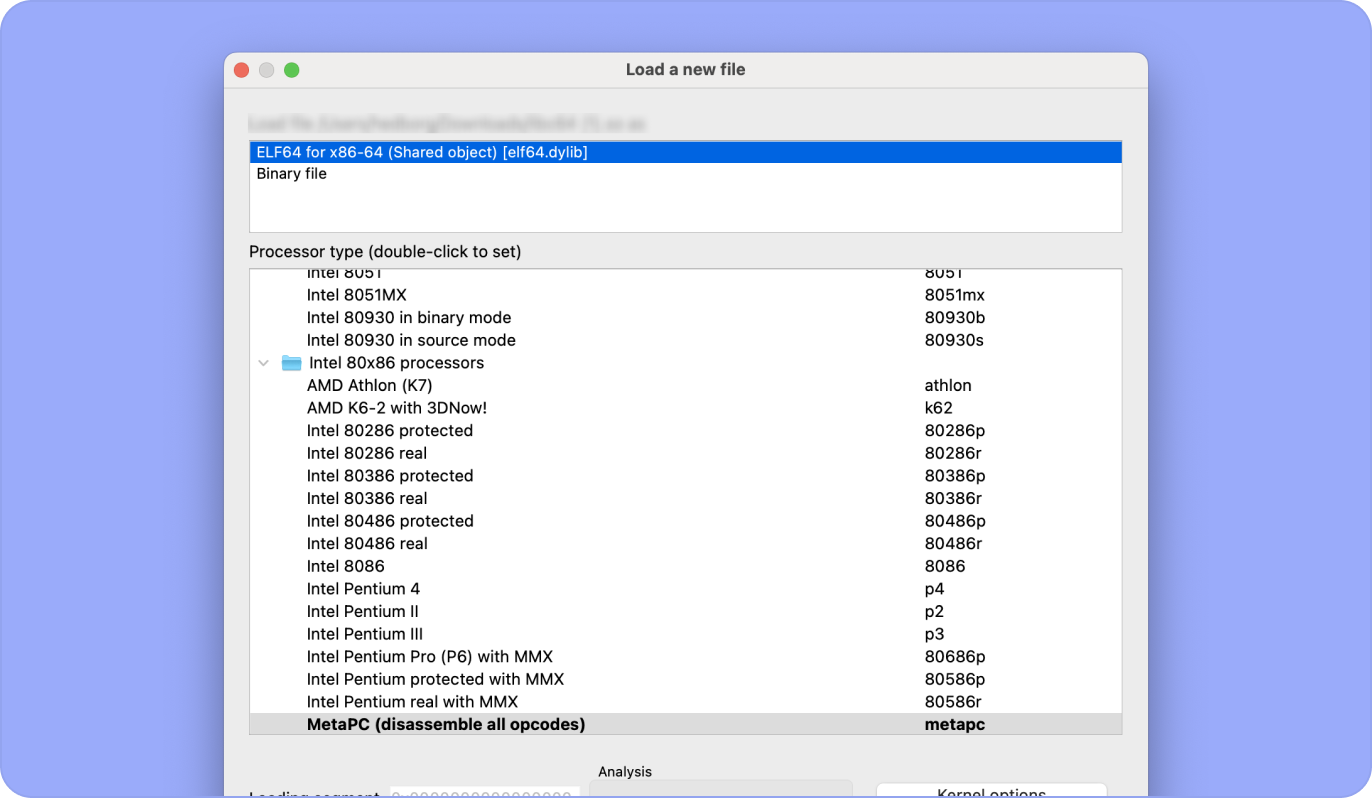Everse anything.webp
