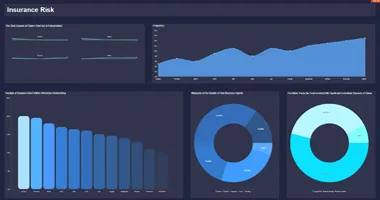 05-DashboardInsuranceRisk.png