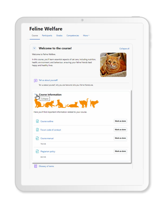 Moodle4.webp