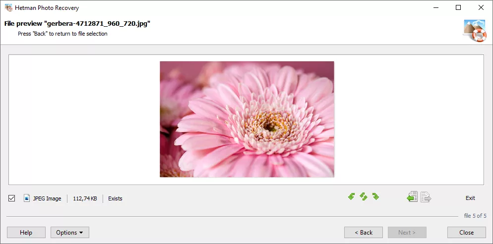 pre-recovery-preview.webp