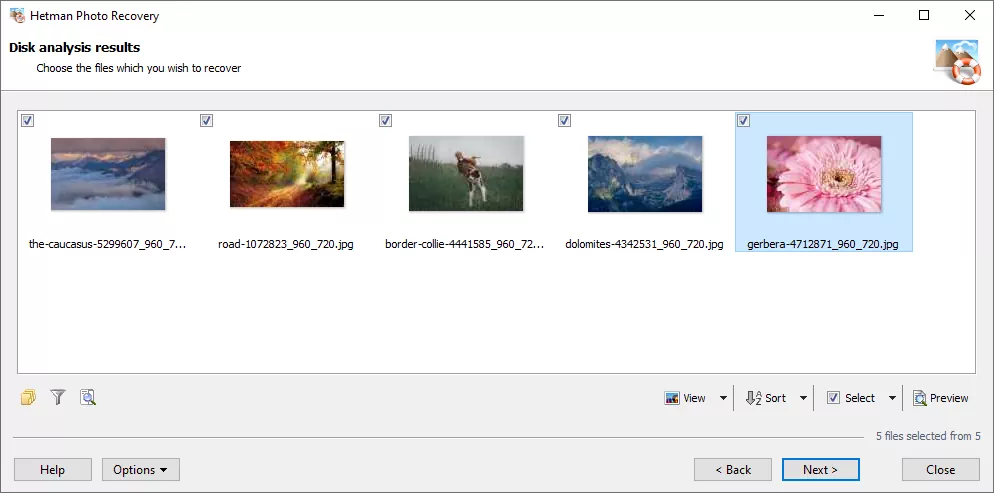 recoverable-digital-pictures.webp