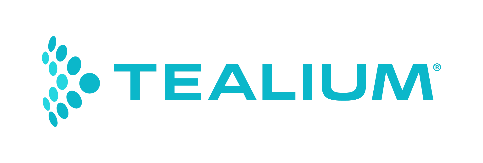 Product Logo